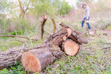 Similar image 22037649