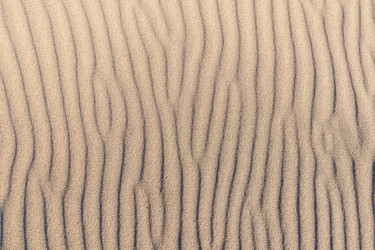 Similar image 22037651