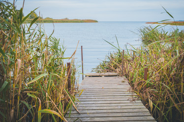 Similar image 22037659