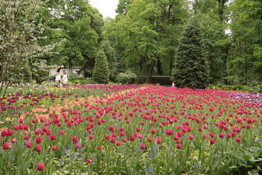 Similar image 22050352