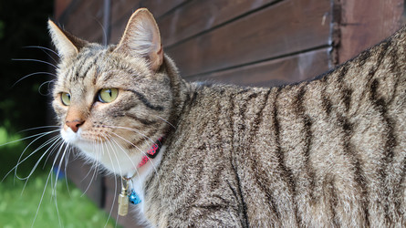 Similar image 22050353