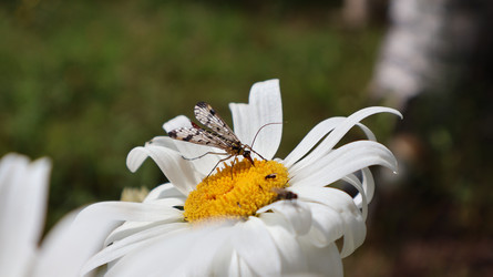 Similar image 22050354