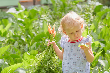 Similar image 22031524