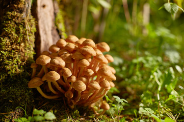 Similar image 22031554