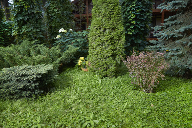 Similar image 22031561