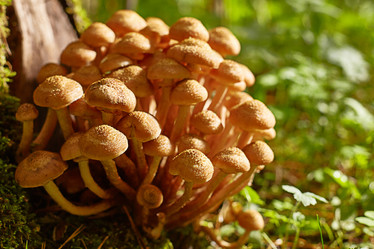 Similar image 22031564