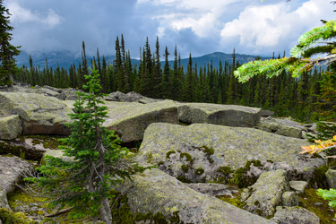 Similar image 22031881