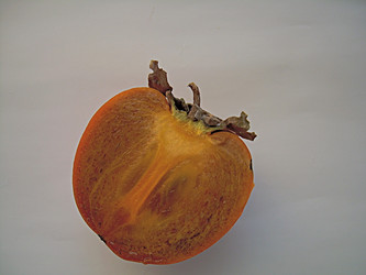 Similar image 22032745