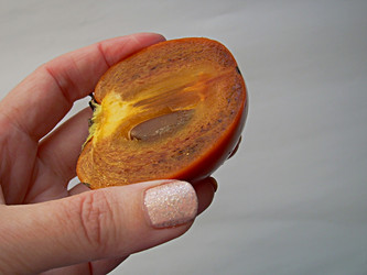 Similar image 22032746