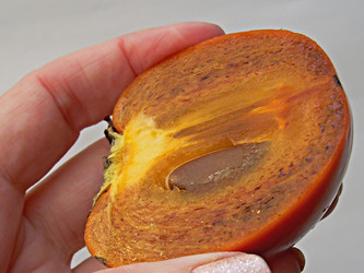 Similar image 22032747