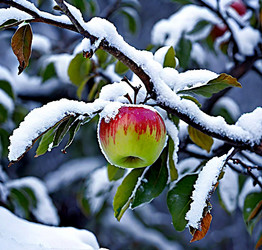 Similar image 22032748