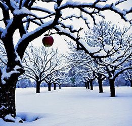 Similar image 22032749