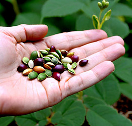 Similar image 22032754