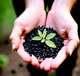 Similar image 22032755