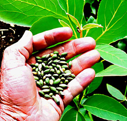 Similar image 22032757