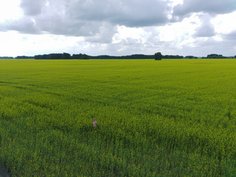 Similar image 22041634