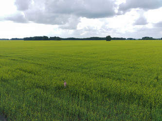 Similar image 22041635