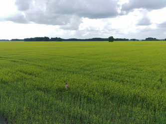 Similar image 22041636