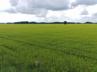 Similar image 22041637