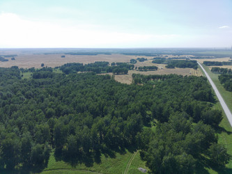 Similar image 22049985