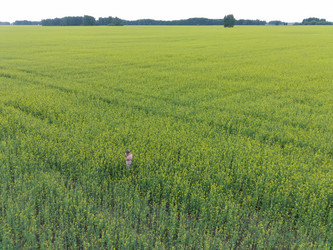 Similar image 22041387