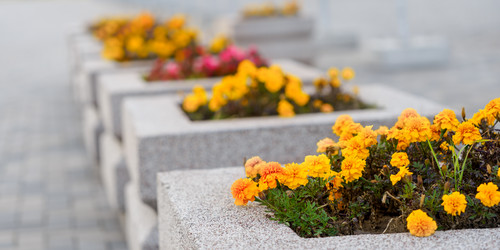 Similar image 22037674