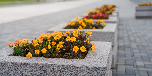 Similar image 22037677