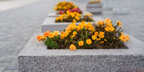 Similar image 22037678