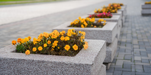 Similar image 22037679