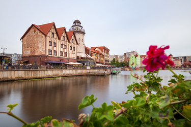 Similar image 22037688