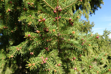 Similar image 22045713