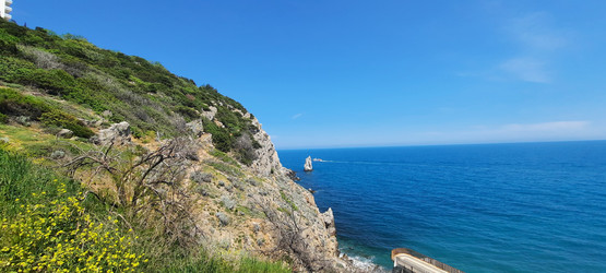 Similar image 22045719