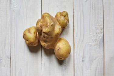 Similar image 22032314