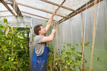 Similar image 22032222