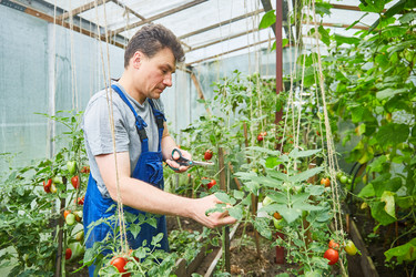 Similar image 22032236