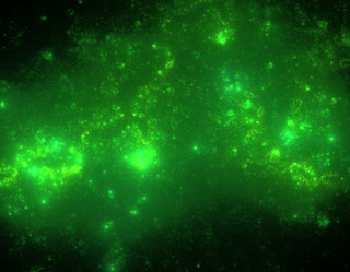 Similar image 22037274