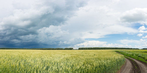 Similar image 22032096