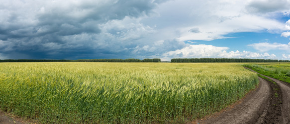 Similar image 22032100