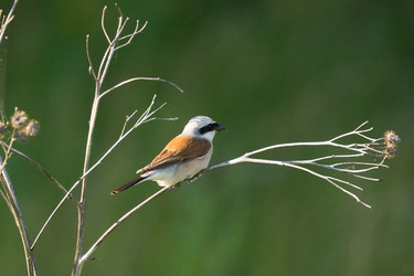 Similar image 22032102