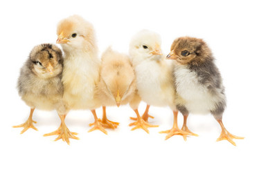 Similar image 22032126