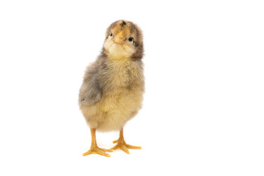 Similar image 22032140