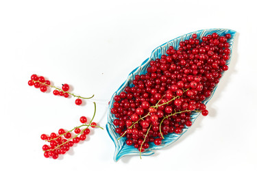 Similar image 22032248