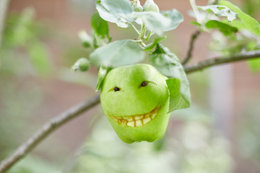 Similar image 22032257