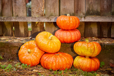 Similar image 22032263