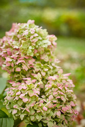 Similar image 22032281