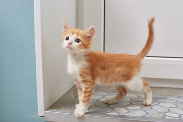 Similar image 22032285