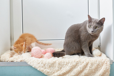 Similar image 22032287