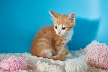 Similar image 22032291