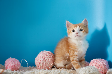 Similar image 22032293