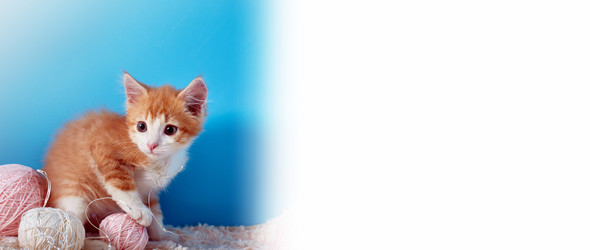 Similar image 22032295